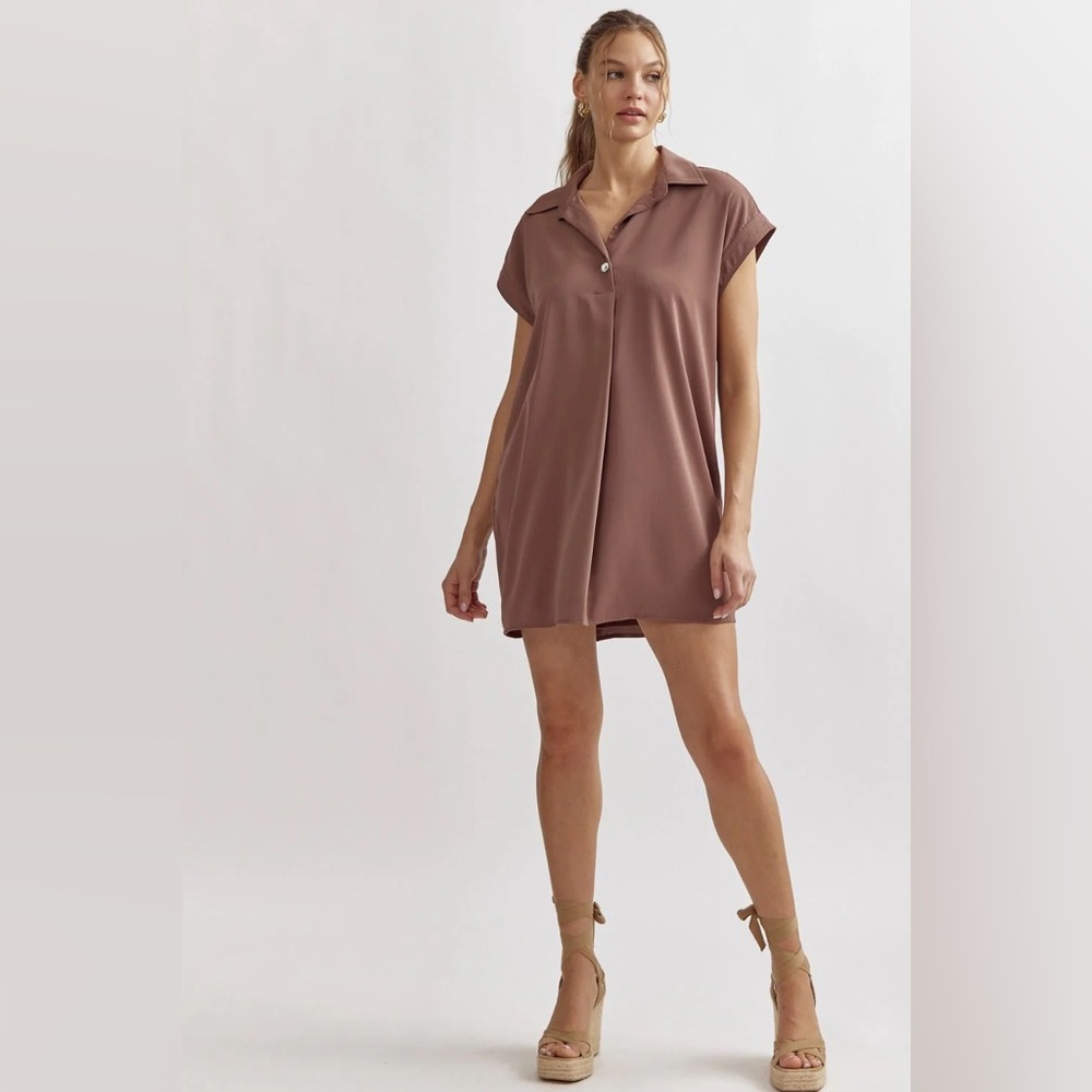 entro Mauve Sleeveless Shirt Mini Dress